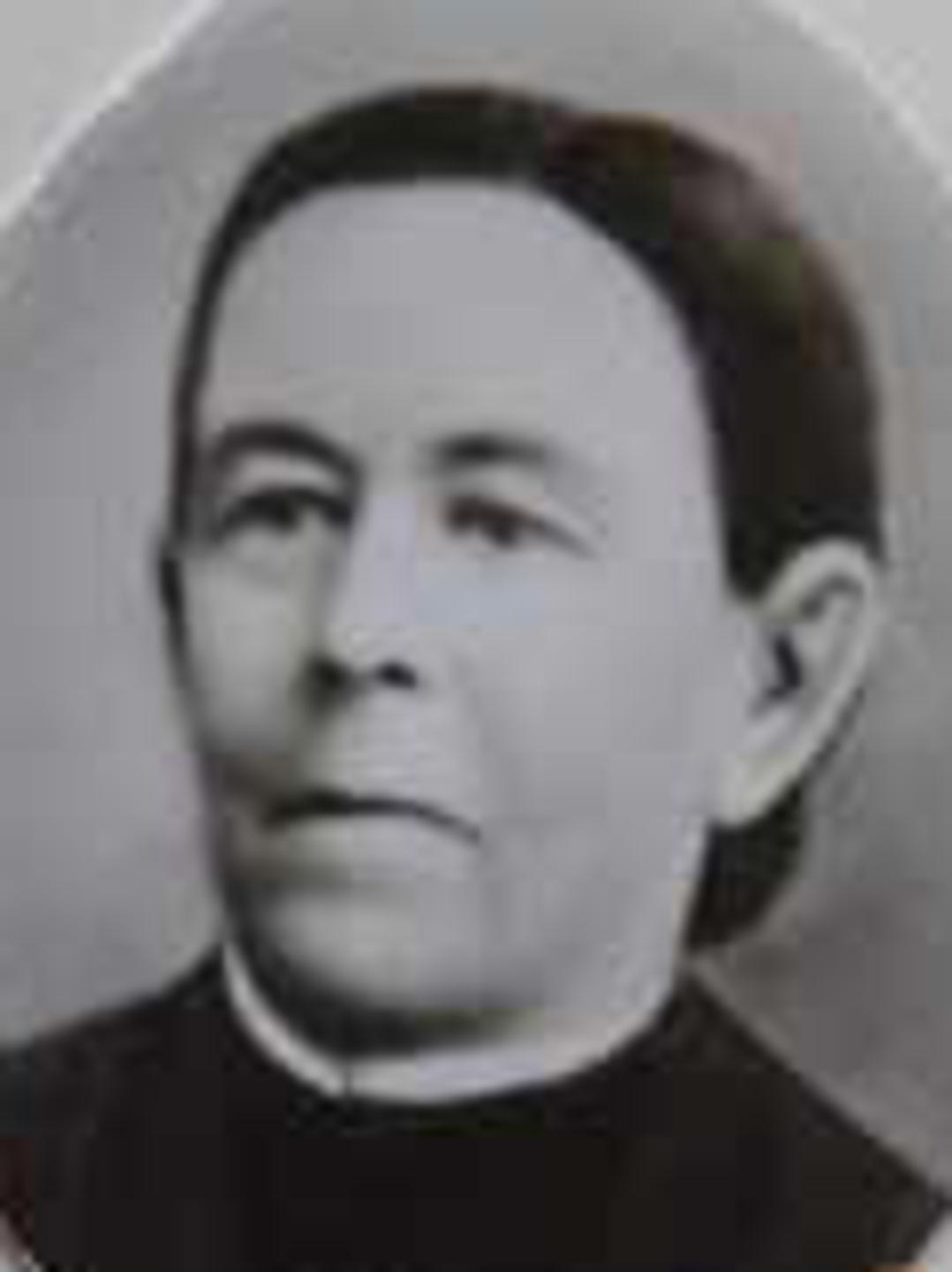 Amelia Ann Brown (1837 - 1899) Profile